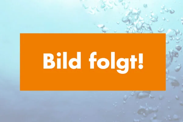 bild-folgt